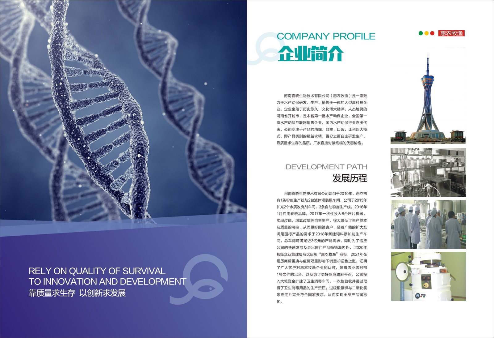 Company profile and development path from brochure