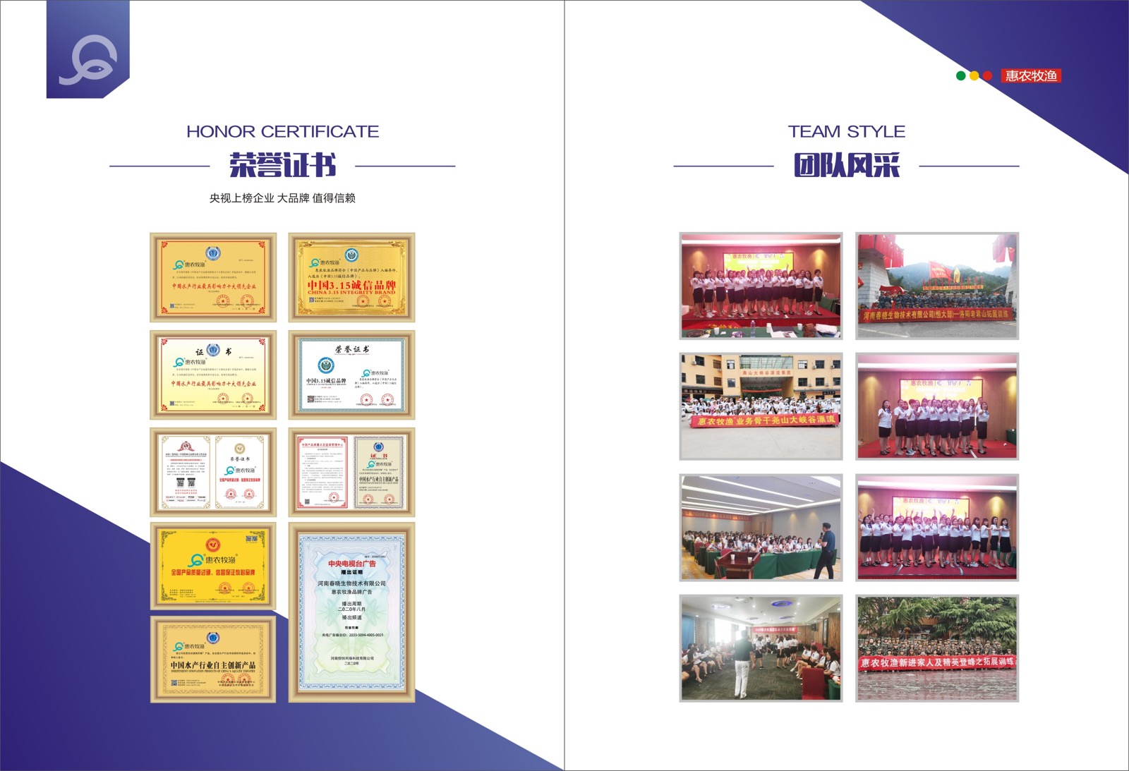 Team and certificate proof from brochure