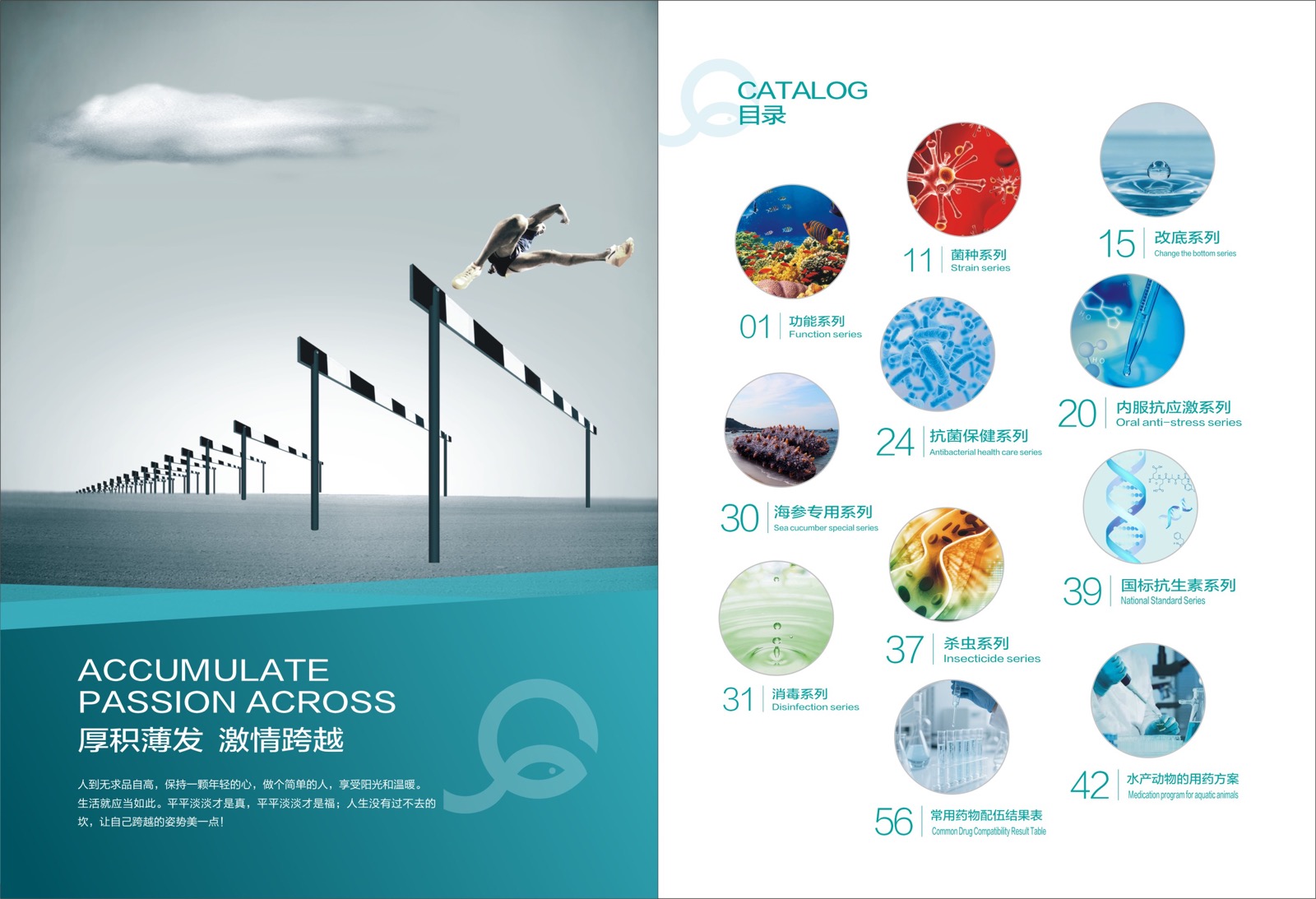Factory and workshop proof from brochure