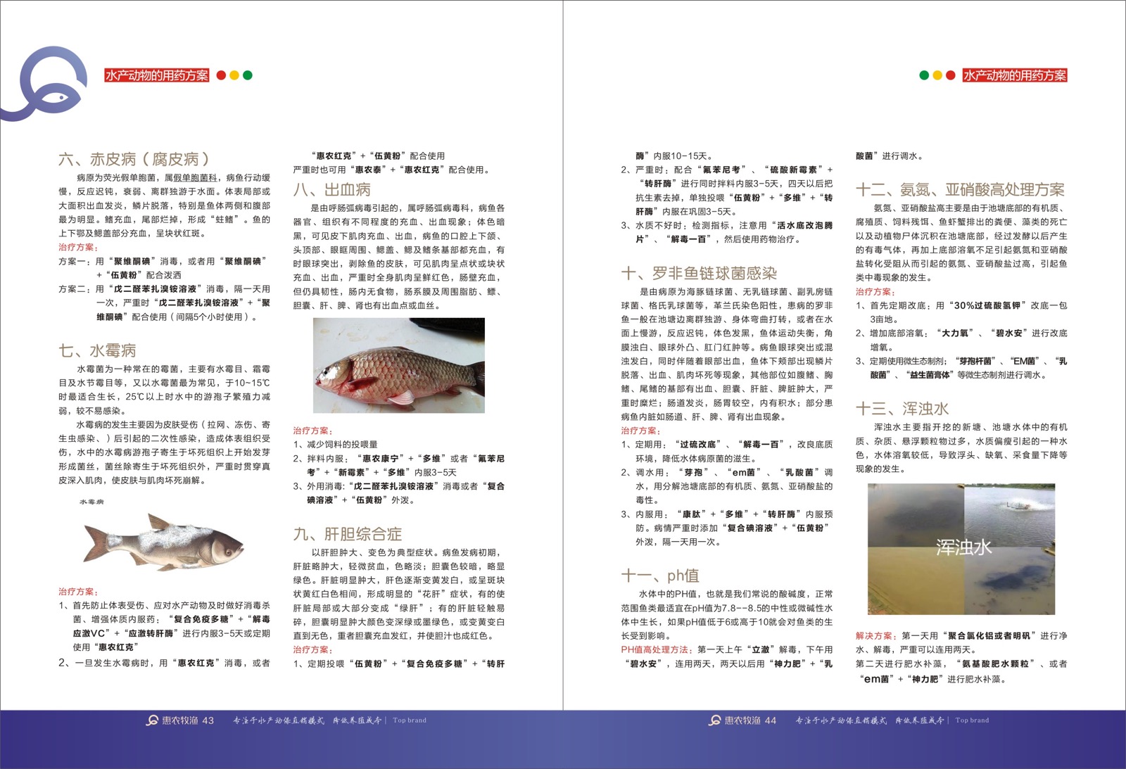 Aquaculture pond water color technical brochure page