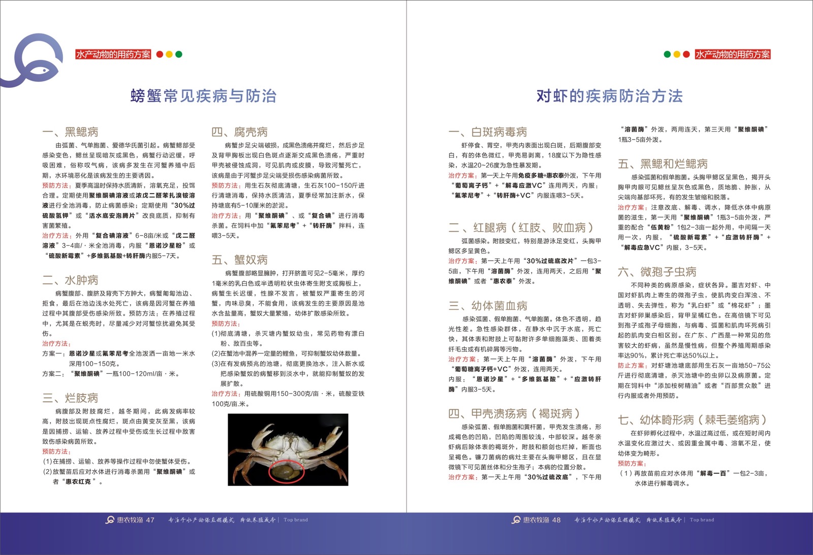 Aquaculture liver support technical brochure page