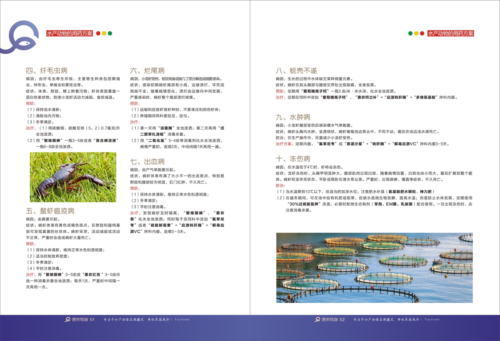Aquaculture pond detox and bottom improvement technical brochure page